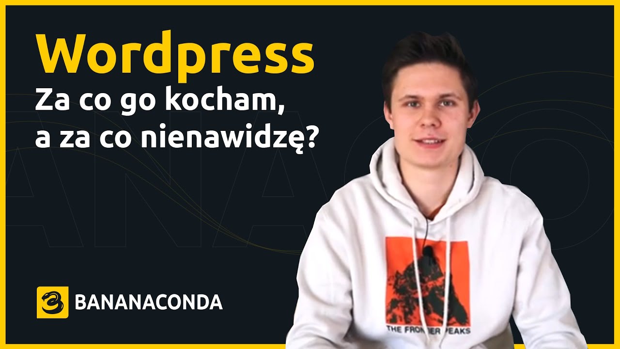 WordPress – za co go kocham, a za co nienawidzę?