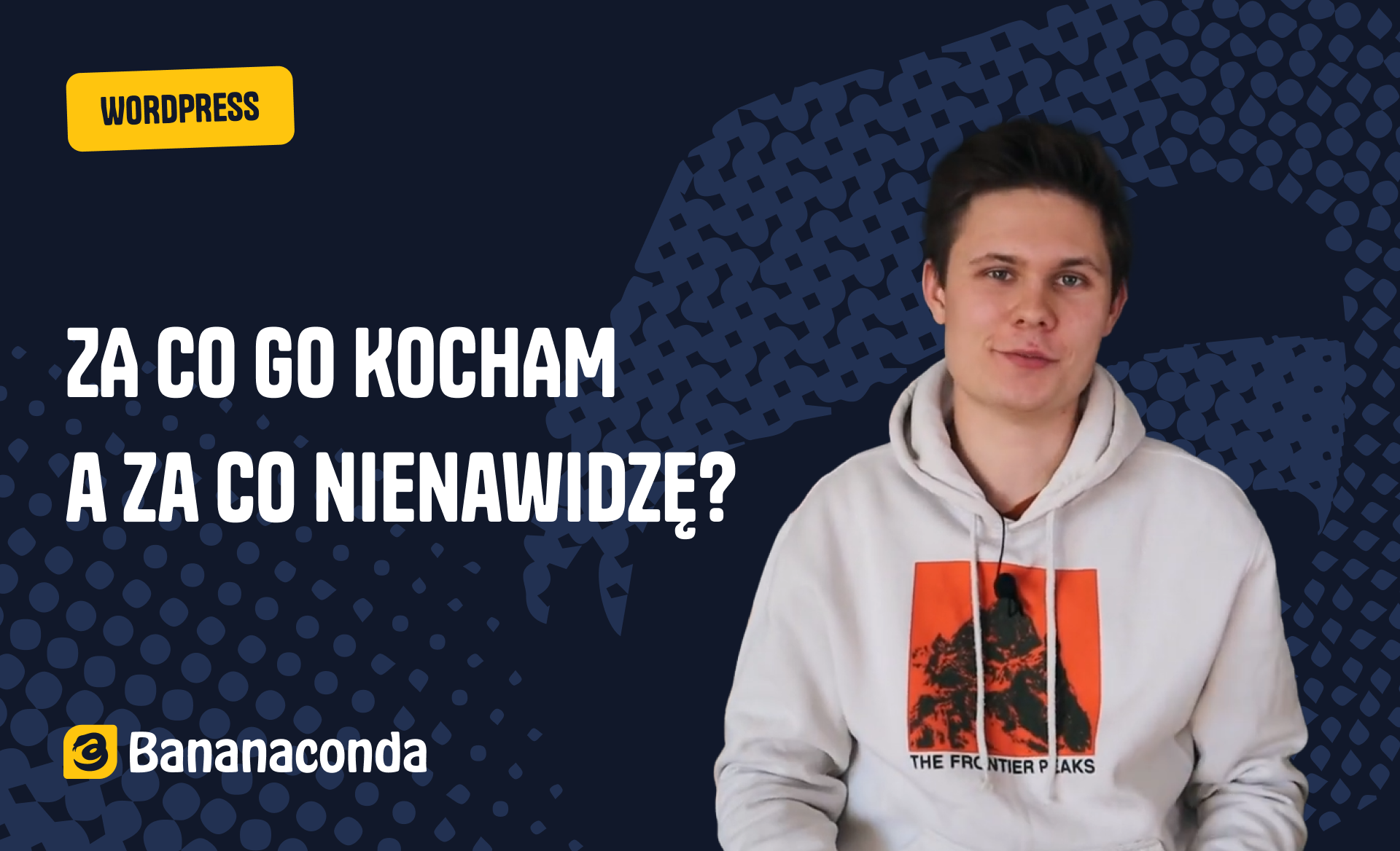 WordPress – za co go kocham, a za co nienawidzę?