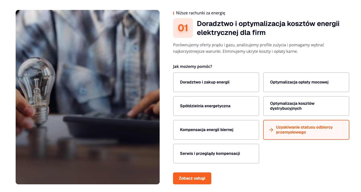 Sekcja oferty energetycznej Elektro-Efekt - "Niższe rachunki za energię" (nr 01) z opisem doradztwa i optymalizacji kosztów, zdjęciem żarówki i przyciskami opcji usług